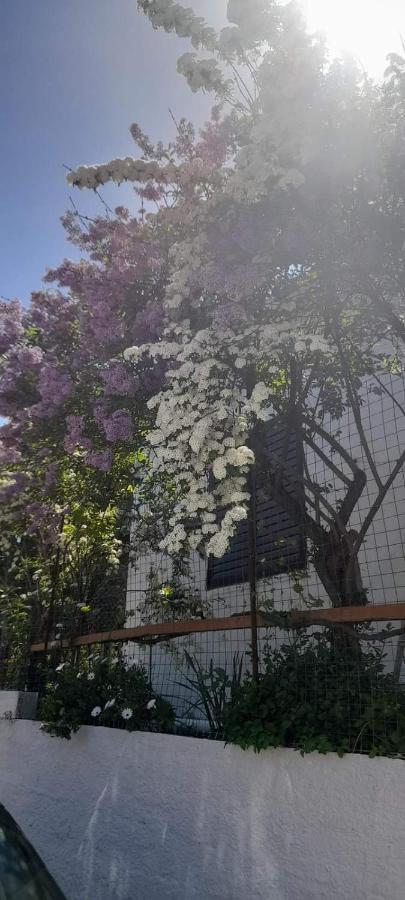 Апартаменты Το Σπίτι Της Ελένης Vlachia Экстерьер фото