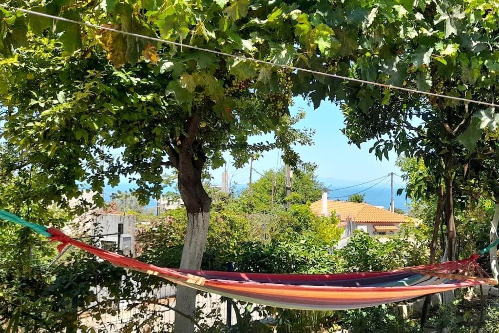 Апартаменты Το Σπίτι Της Ελένης Vlachia Экстерьер фото