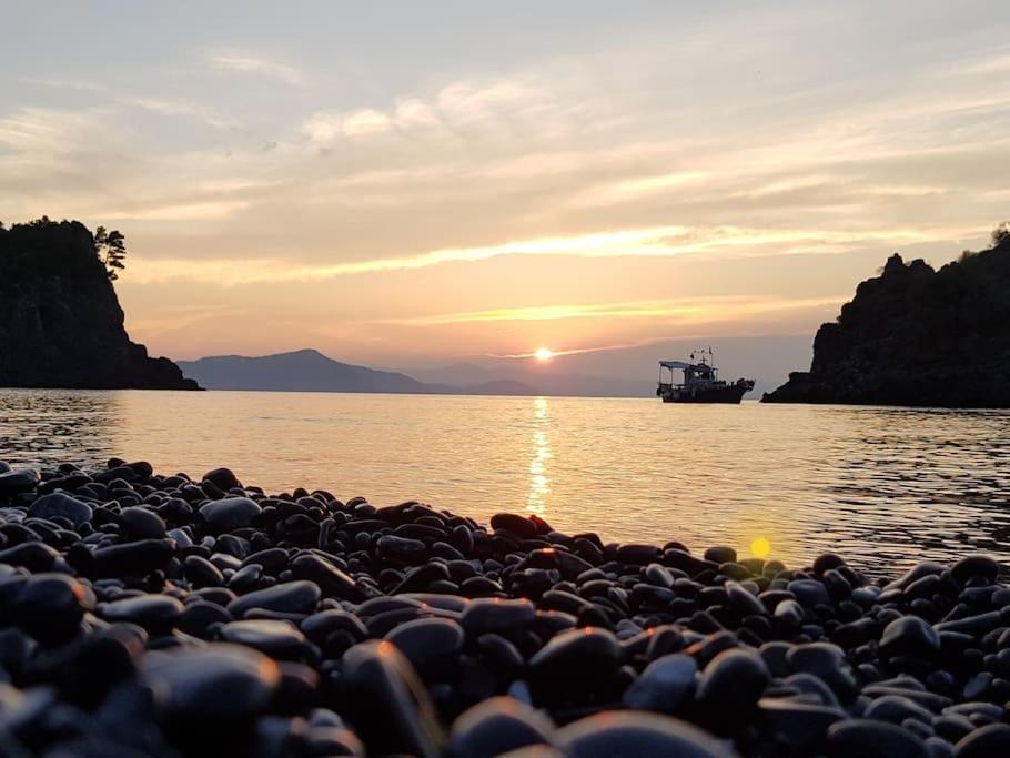 Апартаменты Το Σπίτι Της Ελένης Vlachia Экстерьер фото
