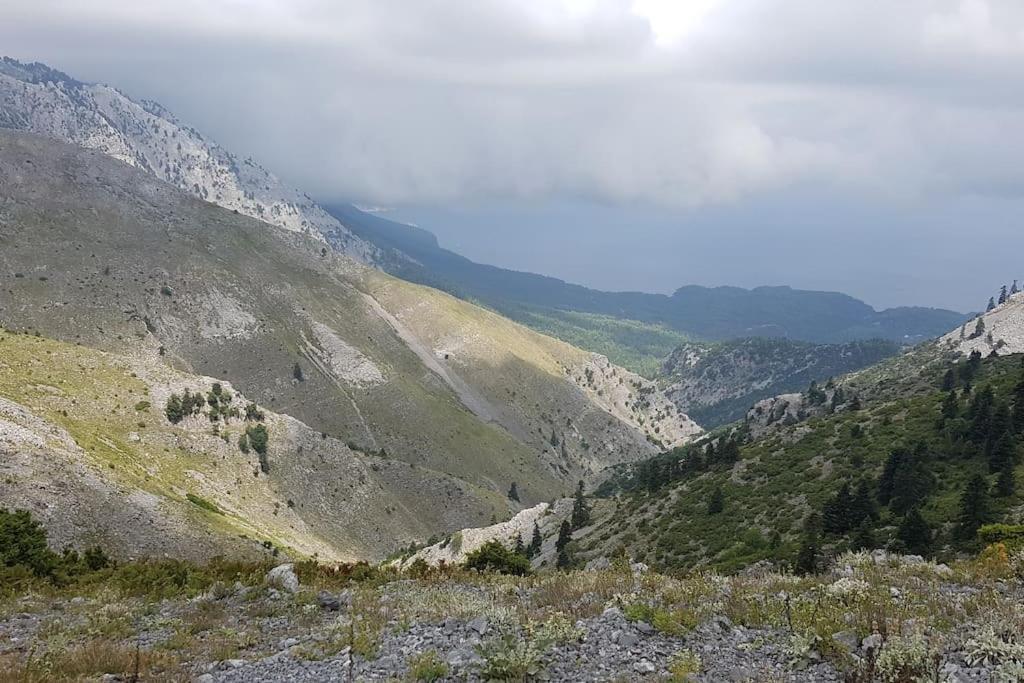 Апартаменты Το Σπίτι Της Ελένης Vlachia Экстерьер фото