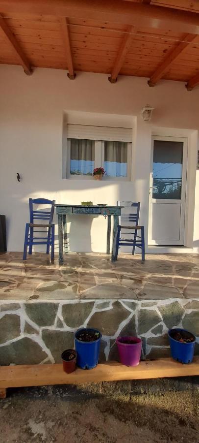 Апартаменты Το Σπίτι Της Ελένης Vlachia Экстерьер фото