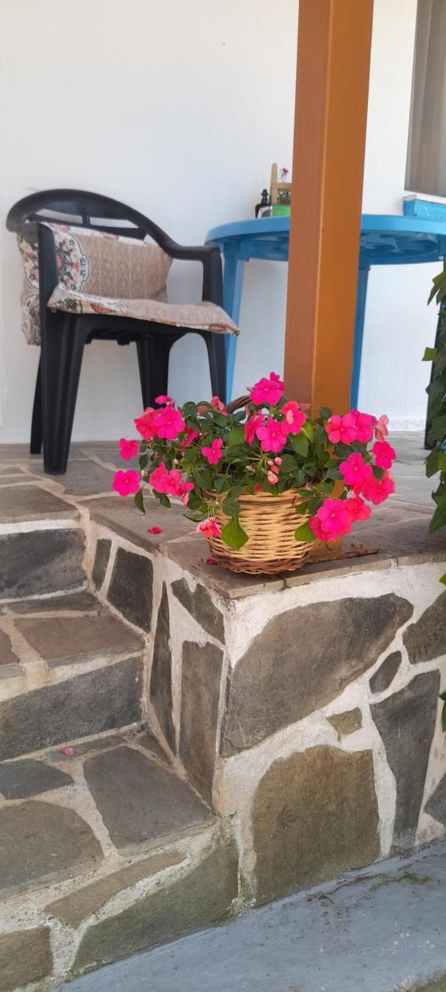Апартаменты Το Σπίτι Της Ελένης Vlachia Экстерьер фото